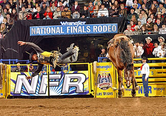   National Finals Rodeo (Las Vegas, Nevada)